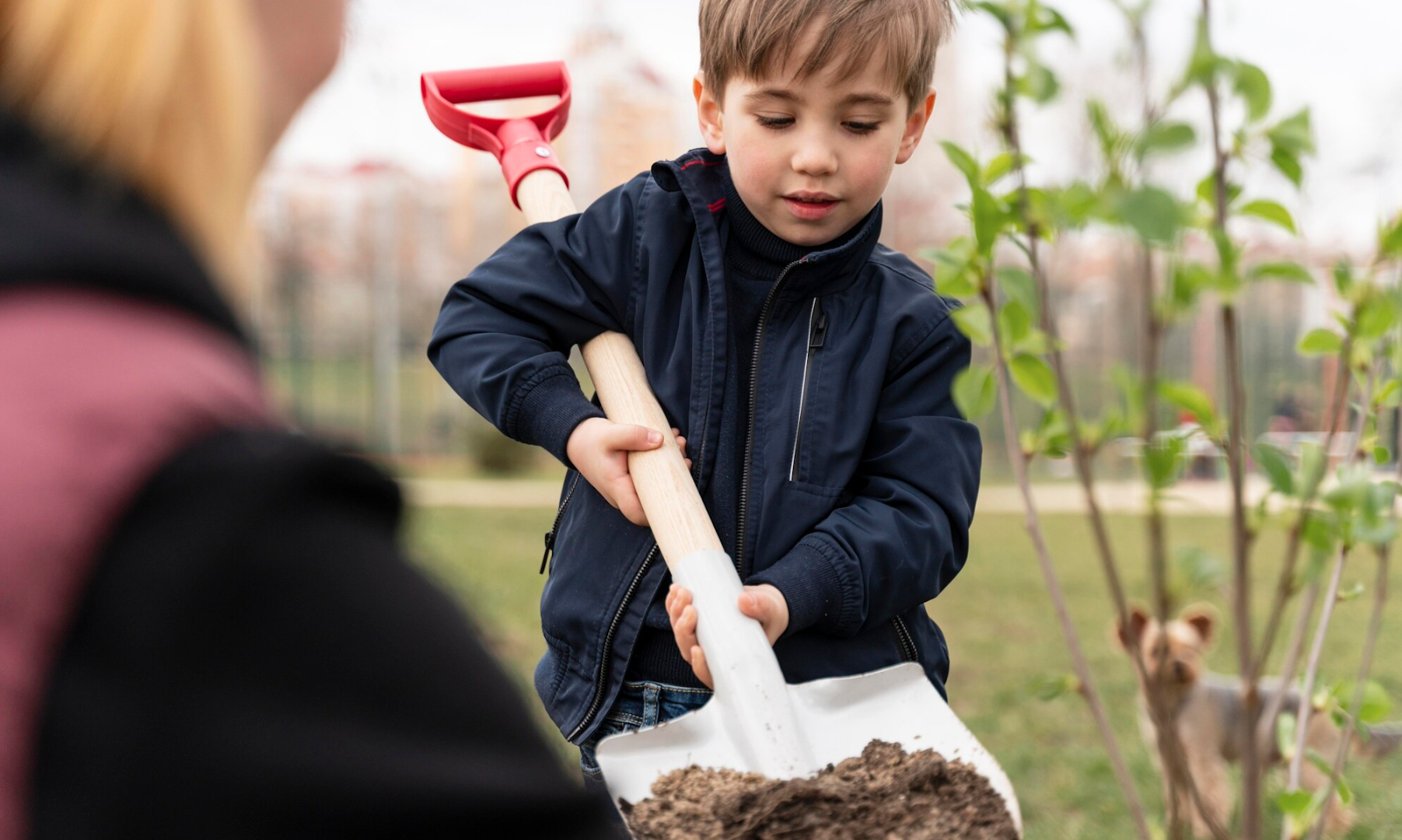 Трудовое воспитание в 2023 году. Высадил. Трудовое воспитание в школе. Трудовое воспитание в школе. Школьники сажают.